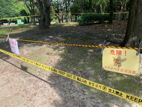 ただこんな物騒なものも出没しているようです。ご用心!