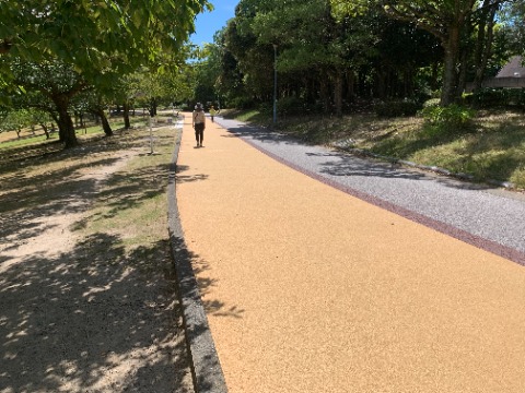 こんなところで、影を慕って右か左かコースを悩むわけです。