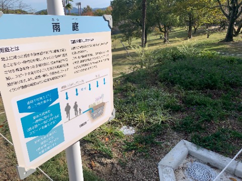 以前に工事中の様子をご紹介した「雨庭」の完成したところをアップしていませんでした。 実は結構前に完成していたのですが、ご紹介です。