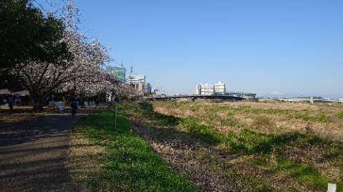 レース前、富士山がクッキリ見えたので一枚撮ったが、広角にし過ぎてよく分からず残念