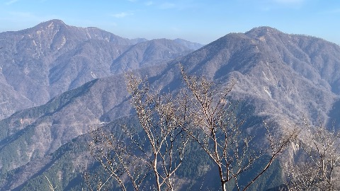 大室山山頂直下から辿ってきた檜洞丸方面。奥は蛭ヶ岳。