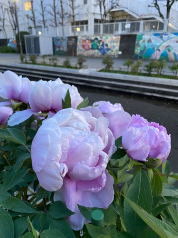 もっちりというかまったりっていうか(^^)