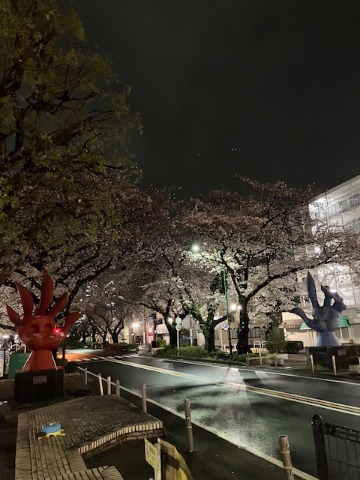 夜ラン